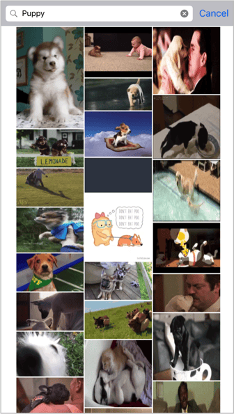 gif-search.png gif-search.png